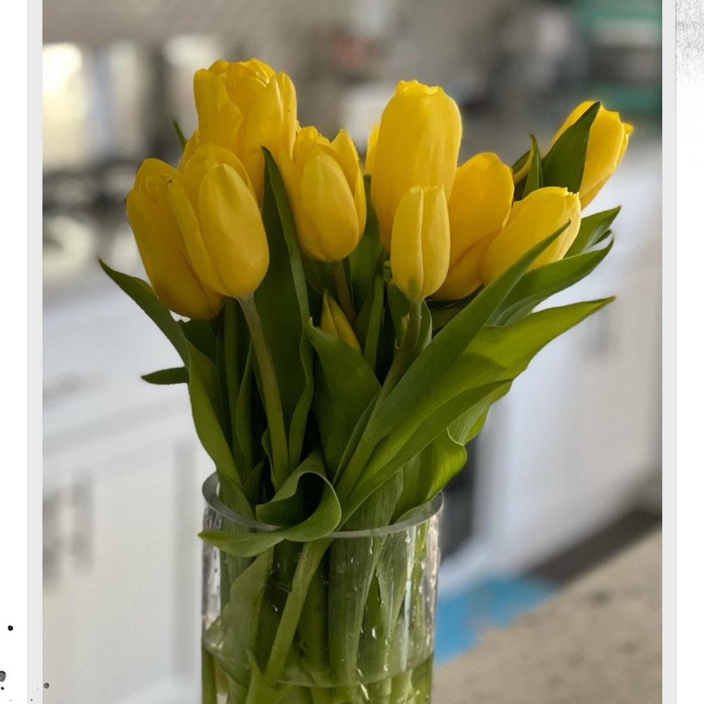 Meet your Posher, Kel